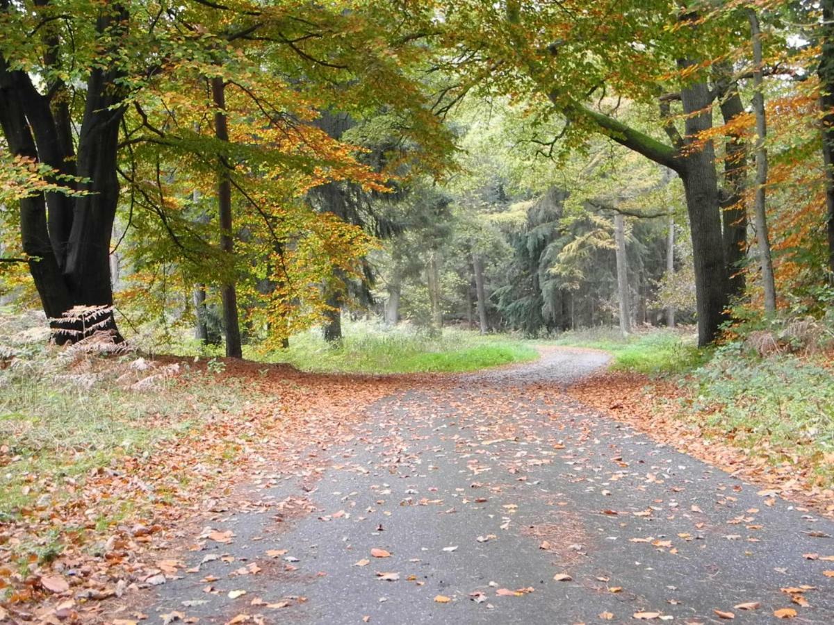 Ferienwohnung Meyenburg Schwanewede Zewnętrze zdjęcie